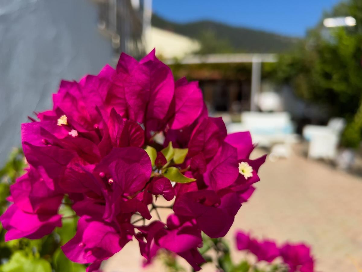 Villa Romantika Chrysi Ammoudia Extérieur photo