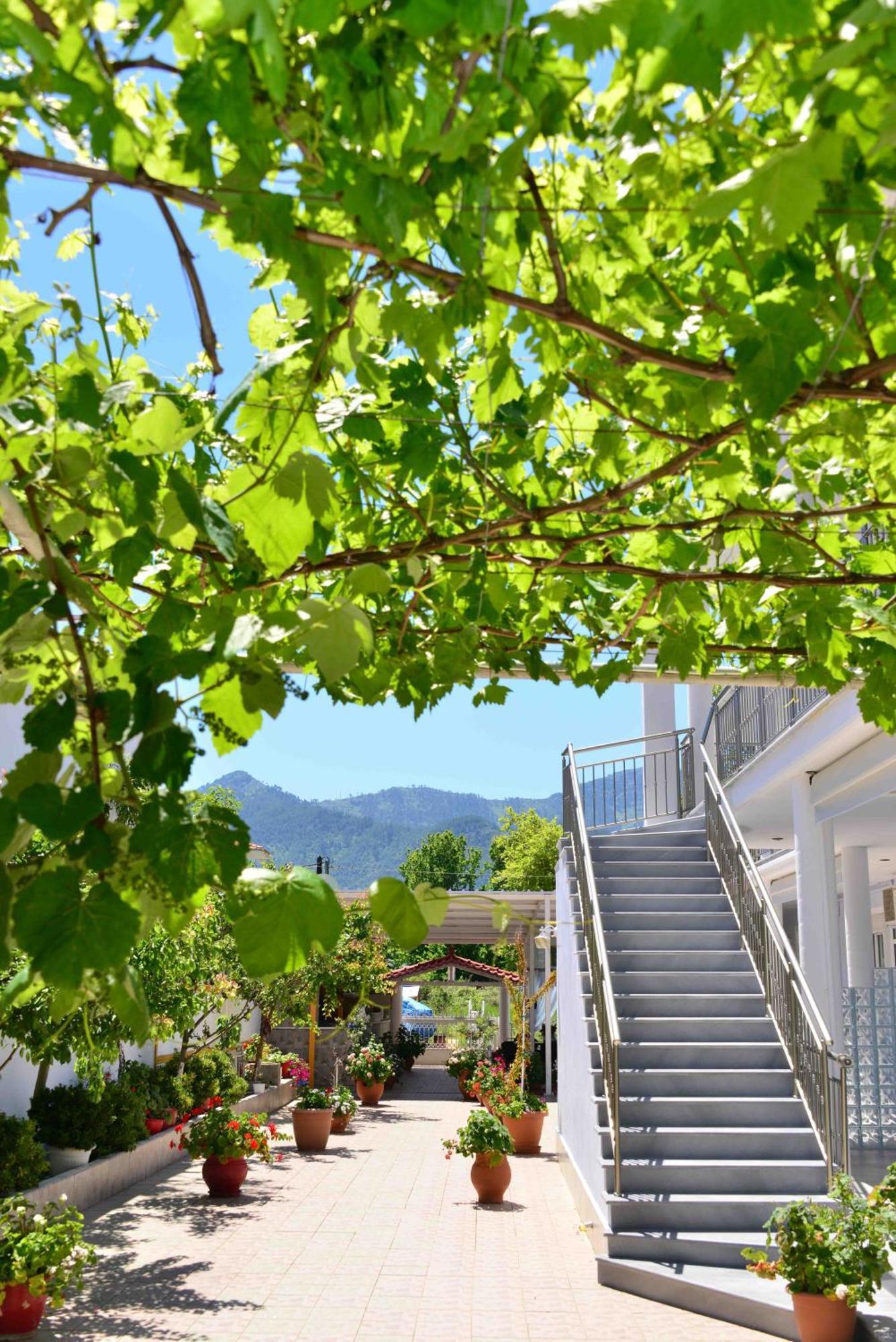 Villa Romantika Chrysi Ammoudia Extérieur photo